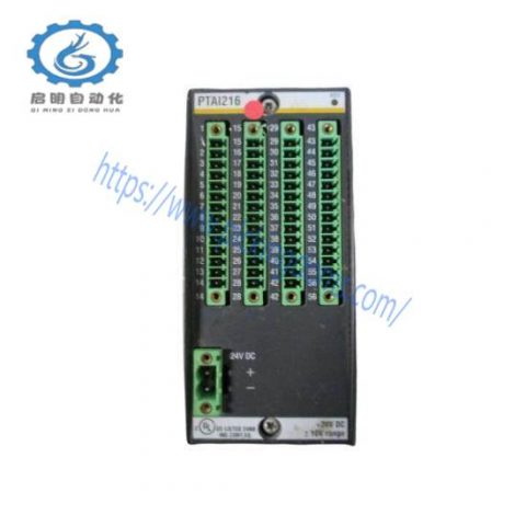 Bachmann PAAI216 Analog Modules - Precision Control for Industrial Applications