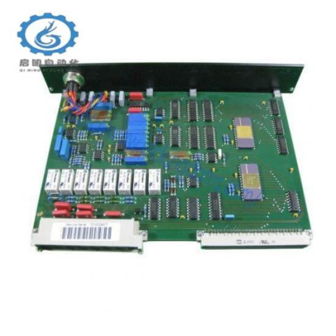 Pasan BV67-3 Precision Digital Temperature Indicator, Advanced Industrial Measurement Solution