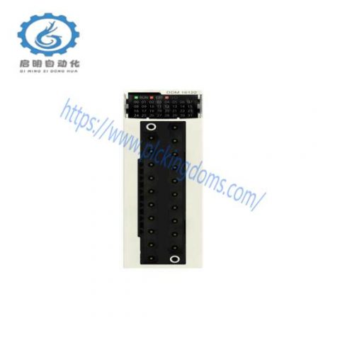 Schneider Electric BMXDDM16022 Discrete Mixed I/O Module