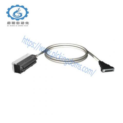 Schneider TSXDEY32D2K - Advanced Micro PLC for Industrial Automation, 200 Characters or Less