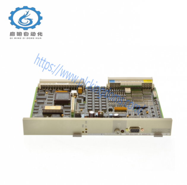 Siemens 6DS1723-8BA PLC Analog Module