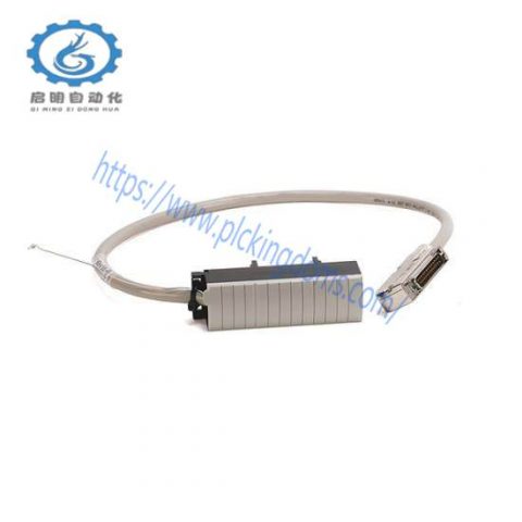 Schneider 1492-ACABLE025UA Analog Control Cable