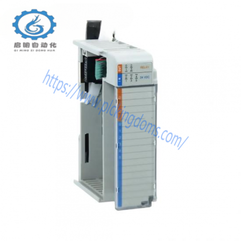 Allen Bradley 1769-IQ6XOW4 PLC Control Module