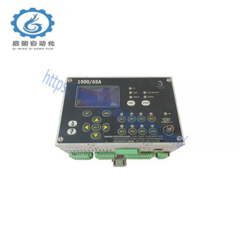 Bently Nevada 1900/65: Precision Equipment Monitoring Module