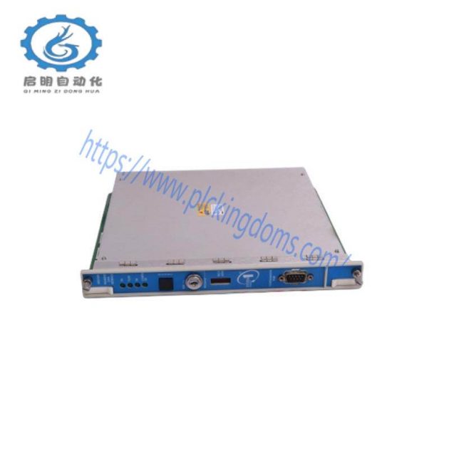 Bently Nevada 330101-00-63-10-02-00: Precision Measurement Module for Industrial Automation