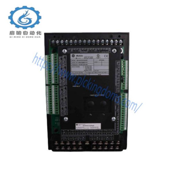 GE IC697PWR748 High-Performance Power Supply Module