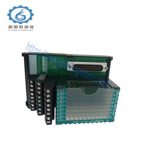 FOXBORO P0916KF0B - Advanced Process Control Module