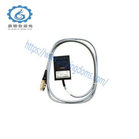 PASAN 200035 Switch Sensor - Industrial Grade, Precision Measurement