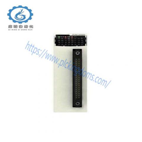 Schneider BMXDDM3202K Discrete Mixed I/O Module