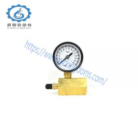 Thrifco Plumbing 8705TPE010S1W0N5 | Gas Pressure Test Gauge