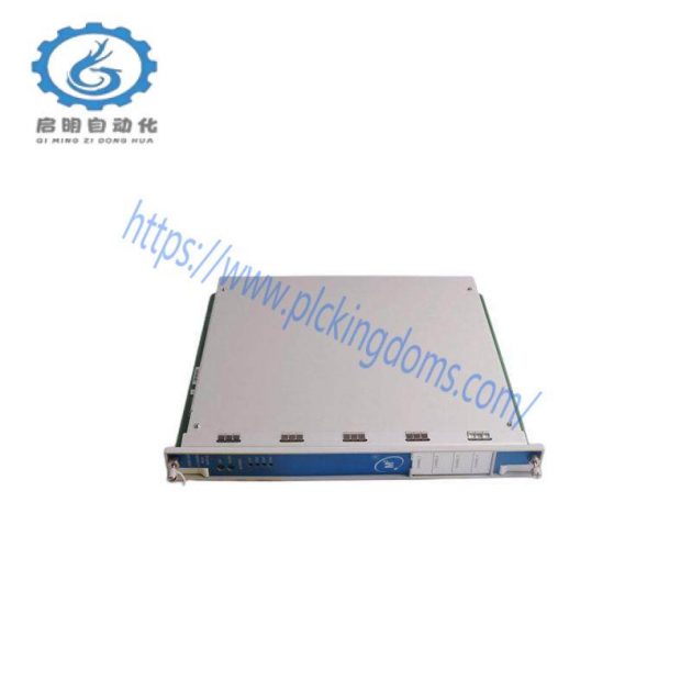 Bently 3500/94 Software Repeatable, Real-Time Monitoring Module