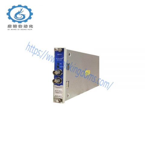 BENTLY 1900/65A-00-01-01-01-01 Industrial Module