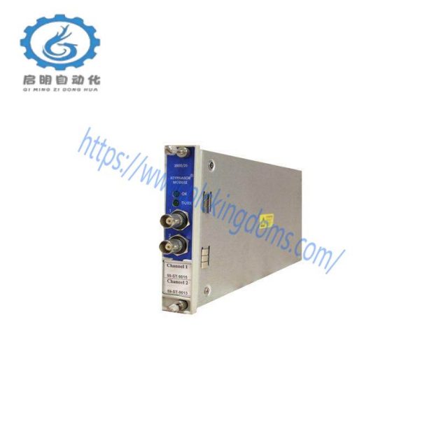 BENTLY 1900/65A-00-01-01-01-01 Industrial Module