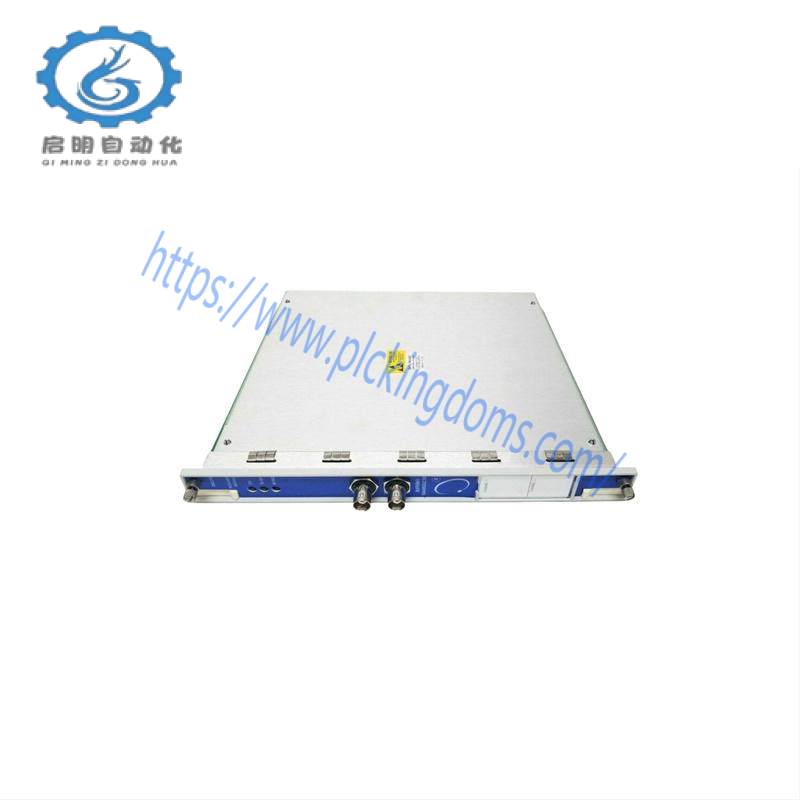 BENTLY 1900/65A-00-01-01-01-01 Industrial Module