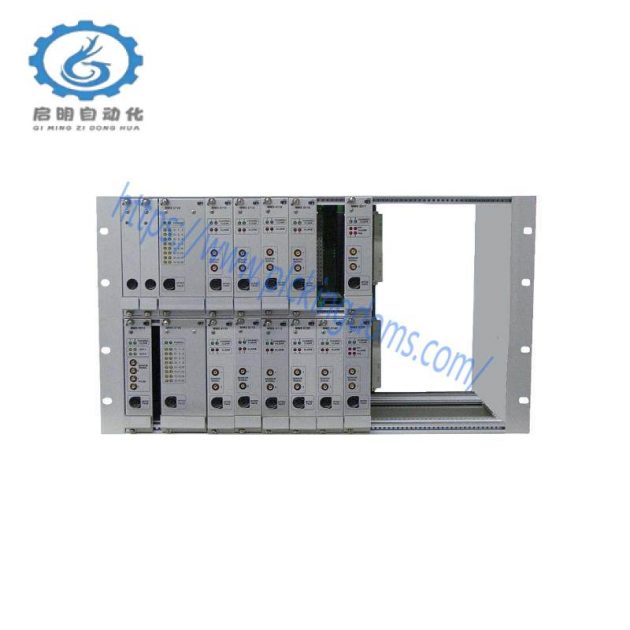 Emerson IC800SSI216RD2S2K Servo Controller - 16 Amp 230 VAC DeviceNet S2K for MTR Motors